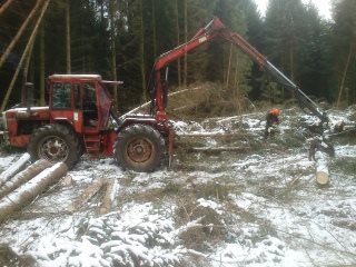 9134737b27-Billeder-Foto Skov-Bodil 9.JPG-for-web-normal.jpg